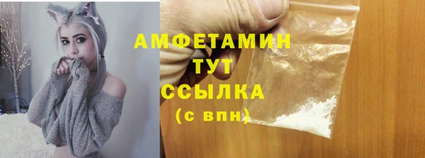 apvp Богданович