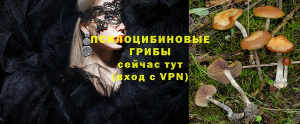 apvp Богданович