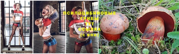 мескалин Богородицк