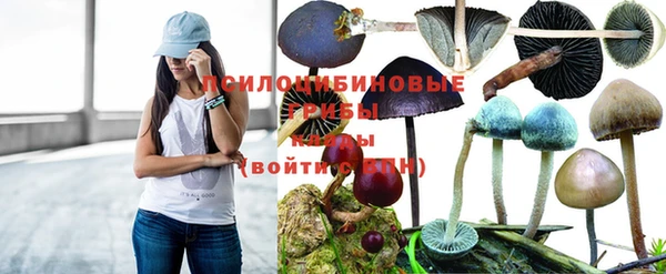 амф Беломорск