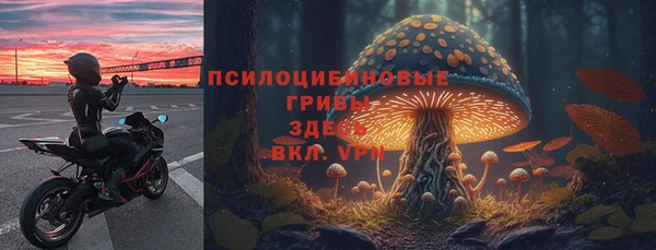 амф Беломорск