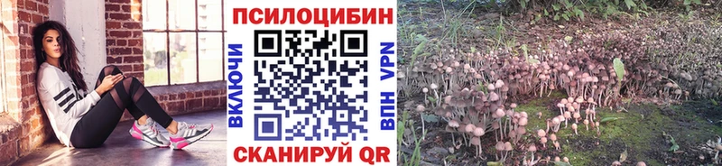 Псилоцибиновые грибы Magic Shrooms  ссылка на мегу ссылка  Бугульма  наркошоп 